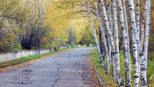 Реалка 