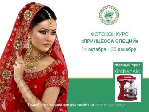 Запись 3551