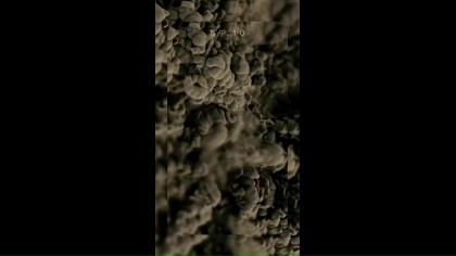 Clip by @pilpomer