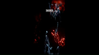 Clip by @pilpomer