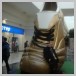 user11408