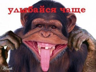user49554