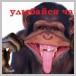 user49554