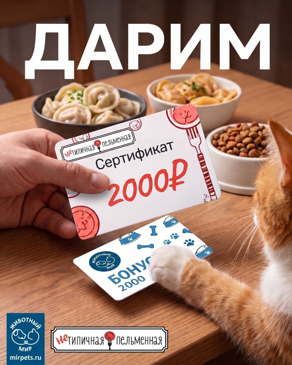 Розыгрыш ужина для хозяина и питомца от пельменной и зоомаркета
