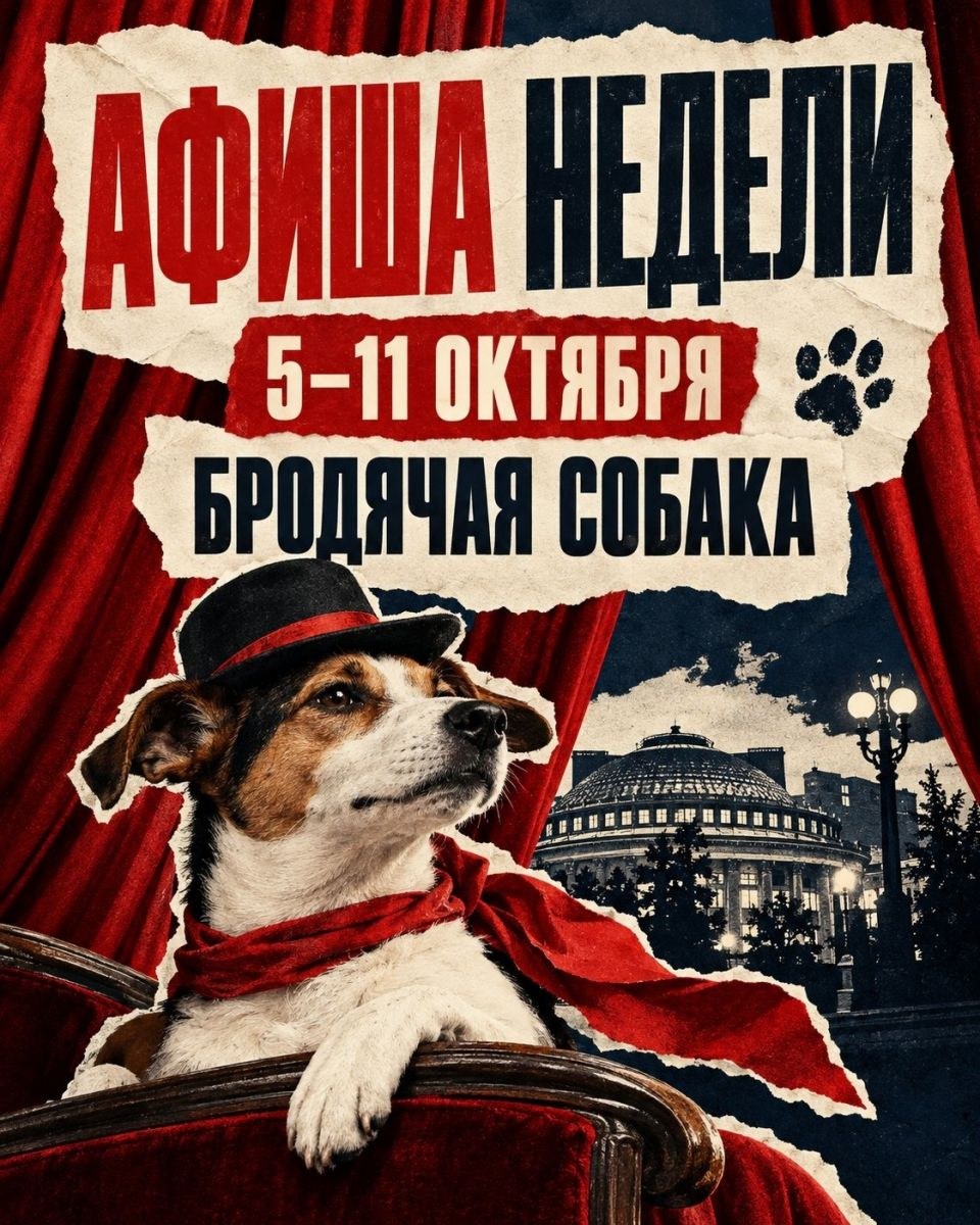 Семь вечеров — и ни одной причины сидеть дома.