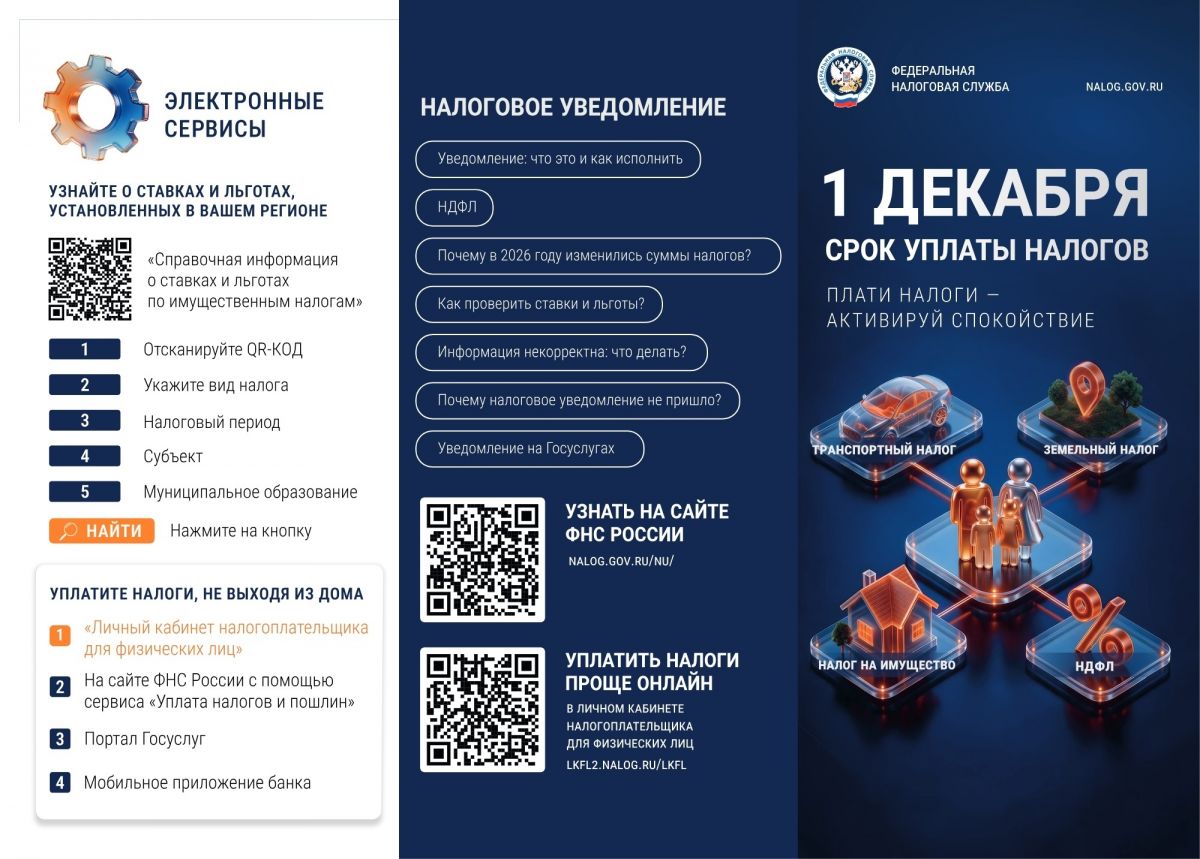 Срок уплаты налогов за 2025 год — до 1 декабря