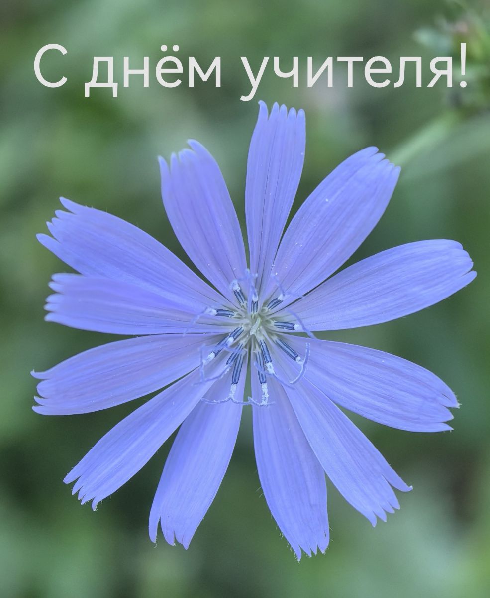 Учителям — бесплатные билеты в театр «Собеседник»