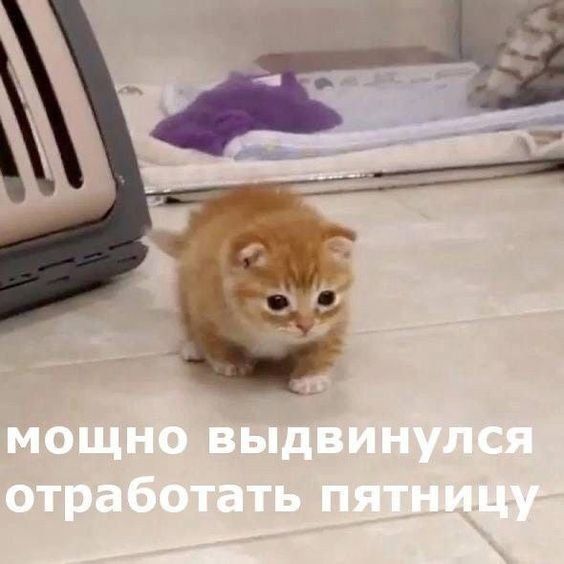 Эбби Лаундж открыт: на смене Даня, свободны столы