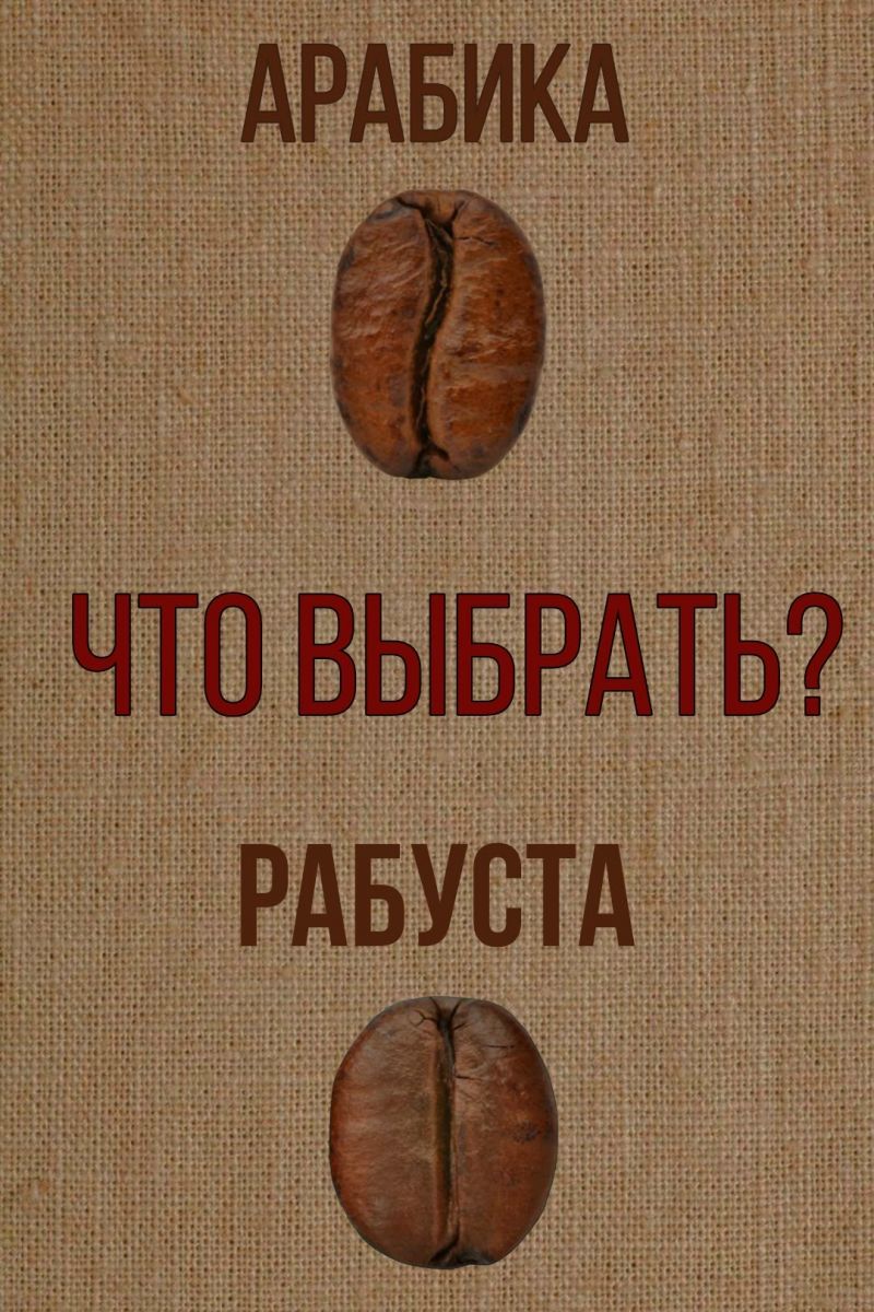 Арабика и робуста: чем отличаются и что выбрать