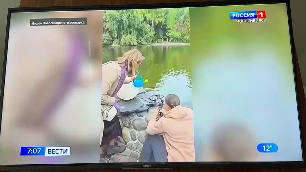 Макет Новосибири в миниатюре показали в утренних новостях
