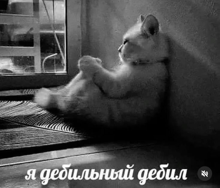 Эбби Лаундж ждёт гостей в зоне с приставкой