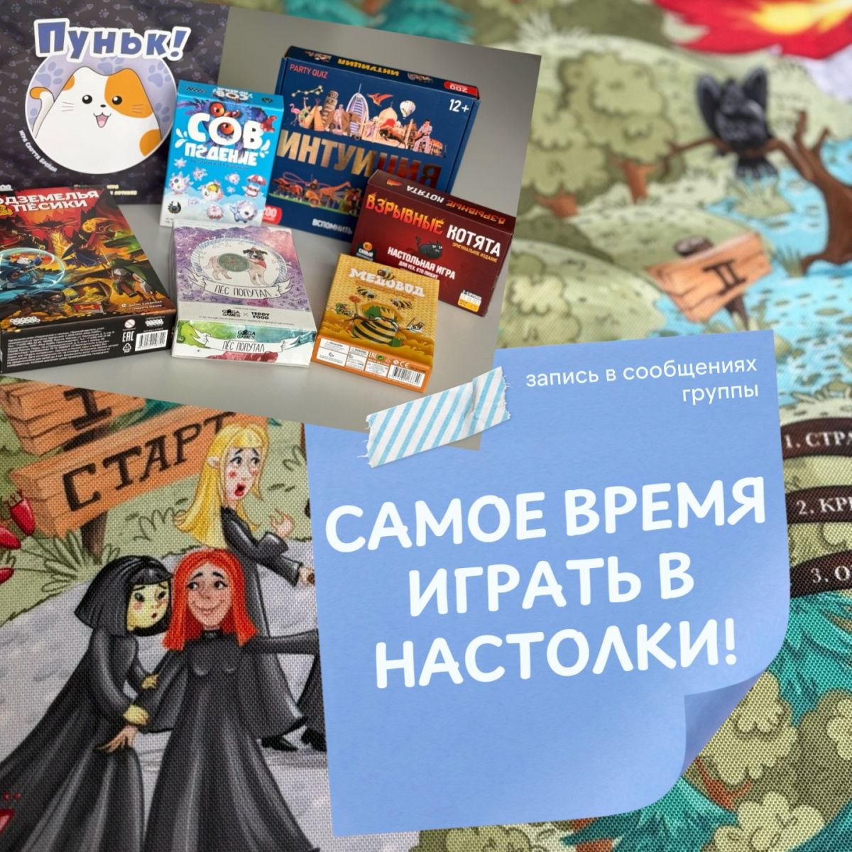 В «Моей территории» появились новые настольные игры