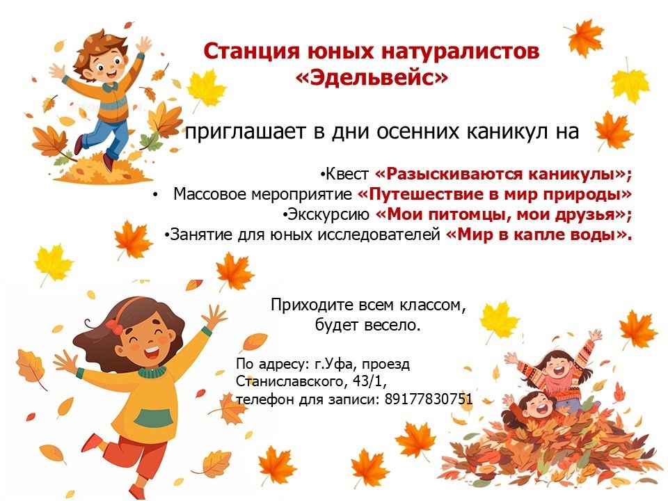 «Эдельвейс» приглашает школьников на каникулярные программы