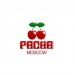 Pacha