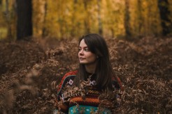 Медиация. Окно, открытое Поздеевым