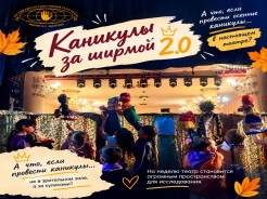А что, если провести осенние каникулы… за ширмой?