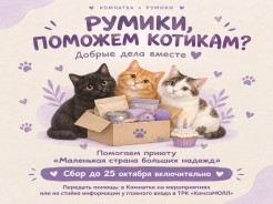 Румики, поможем котикам?