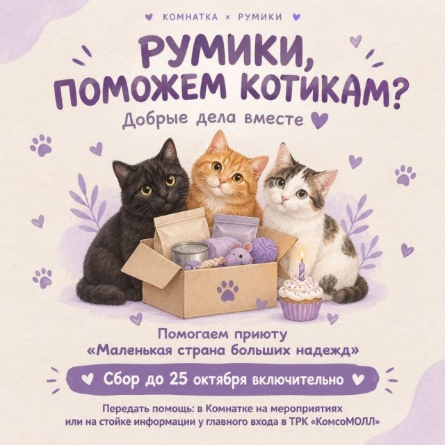 Румики, поможем котикам?