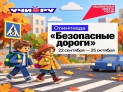 На старт, внимание, ПДД!