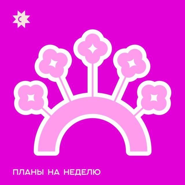 Планы на неделю: 19-25 октября