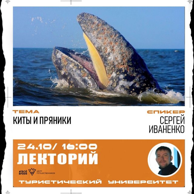 Кто наблюдает за морскими гигантами?